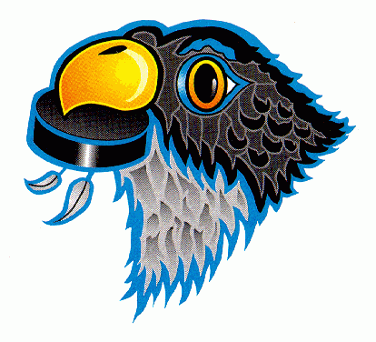 Springfield Falcons 1994 95-2001 02 Secondary Logo iron on transfers for clothing